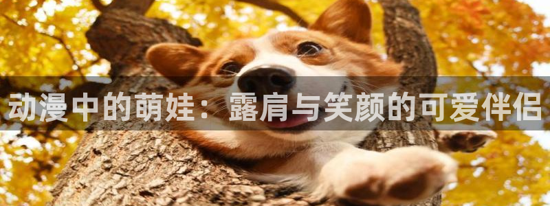 acg动漫之家