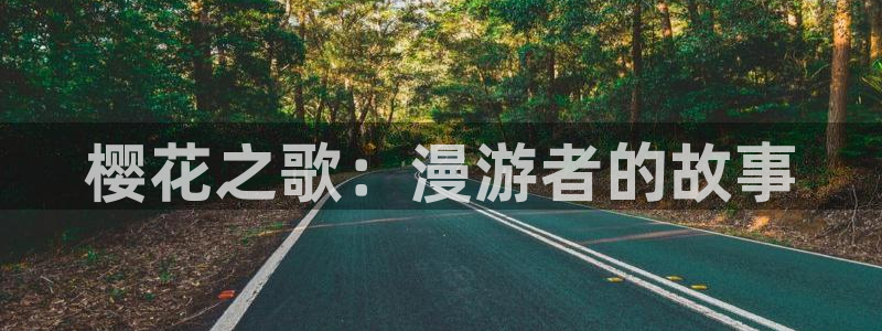 动漫之家旧版本