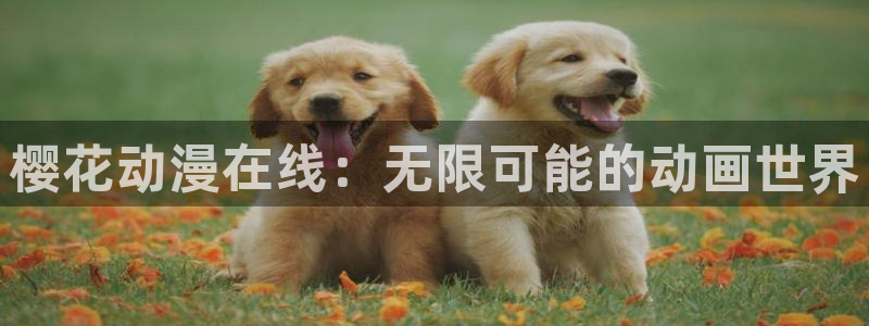 动漫之家看不了