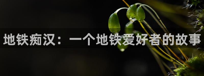 动漫之家正版官网