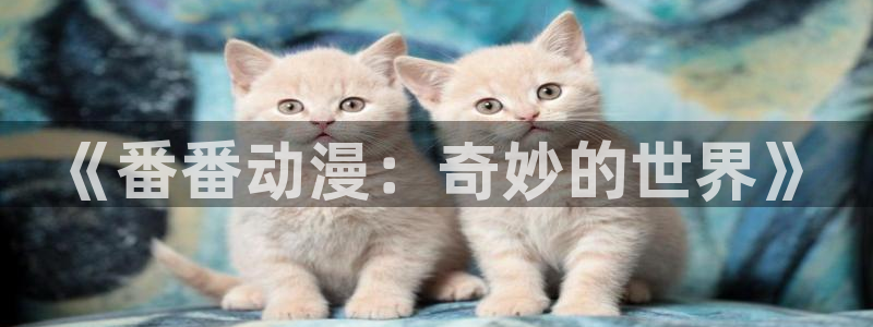 动漫之家隐藏