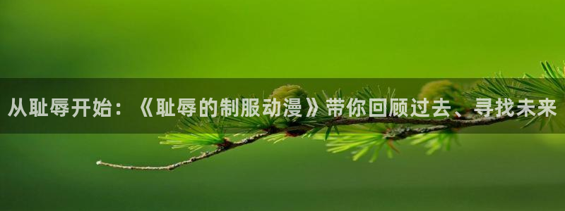 动漫之家旧