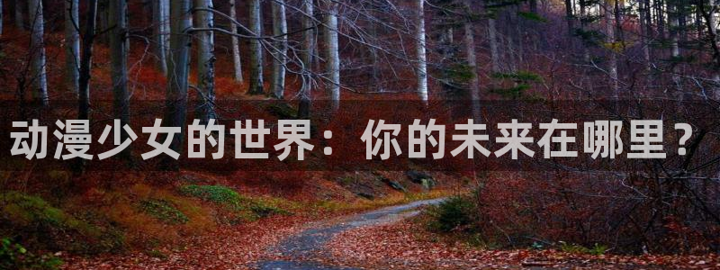 动漫之家安装包