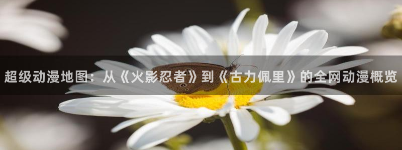 动漫之家链接