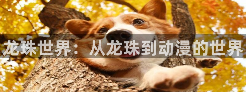 动漫之家动画