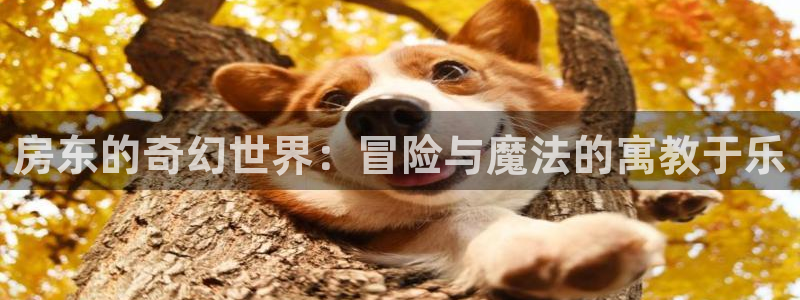 动漫之家最新版本