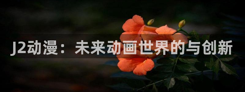 动漫之家动画站