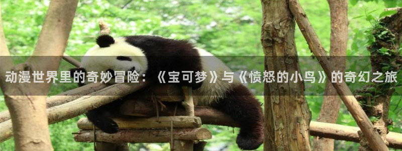 动漫之家安卓版