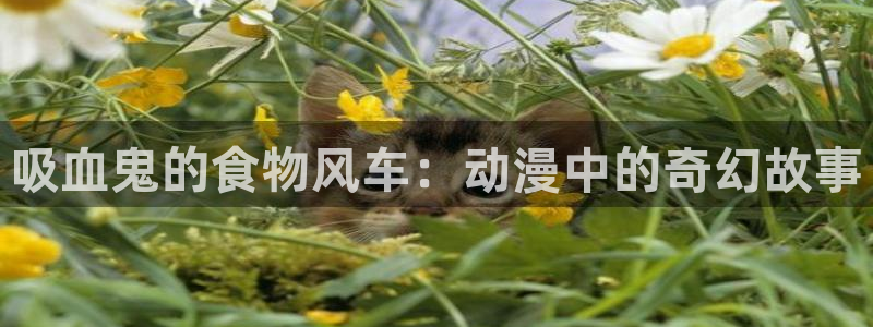 漫动漫之家