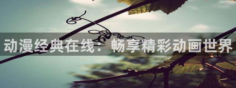 51动漫之家
