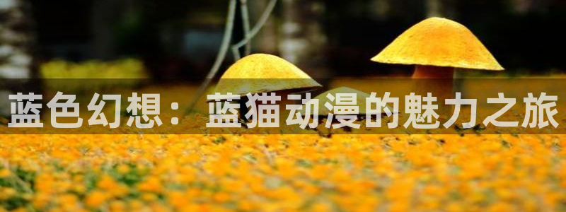 其他动漫之家动漫