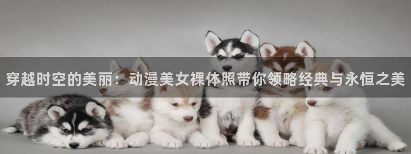 动漫之家论坛