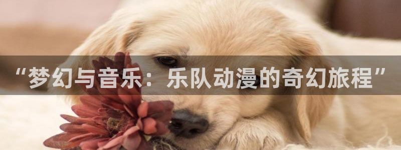 动漫之家网站免费观看