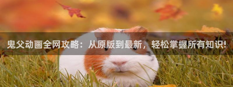 动漫之家收费吗