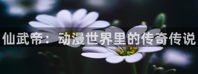 动漫之家flutter
