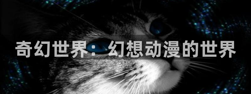 其他动漫之家动漫