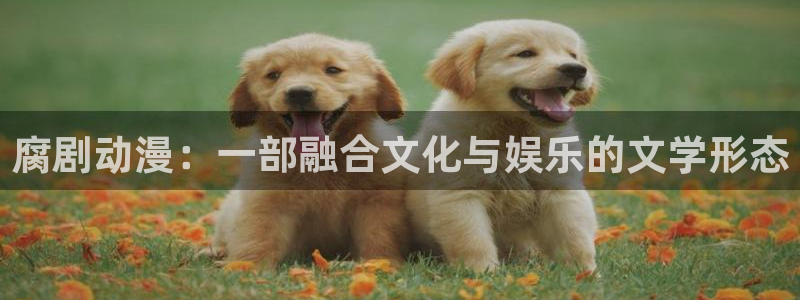 动漫之家漫画网app下载
