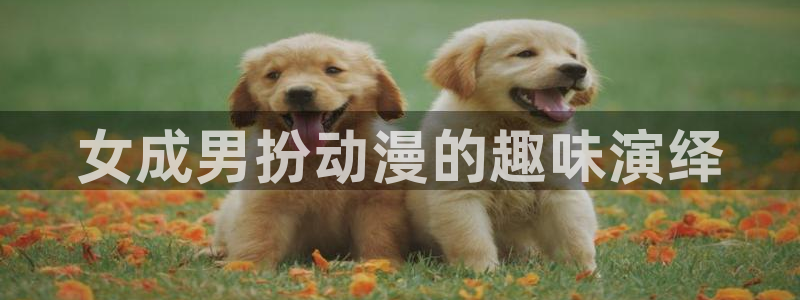 动漫之家收费吗