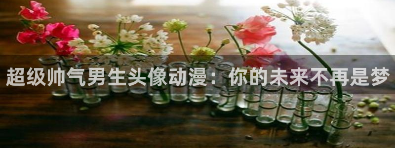 动漫之家3.0版本