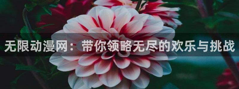 动漫之家社区版