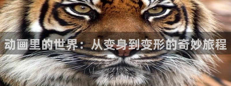 动漫之家官网网页版