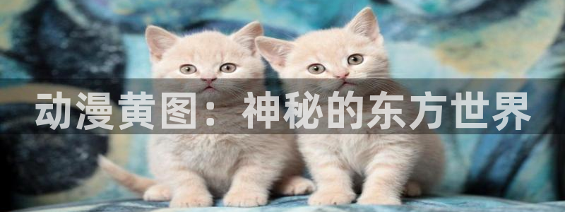动漫之家网页端