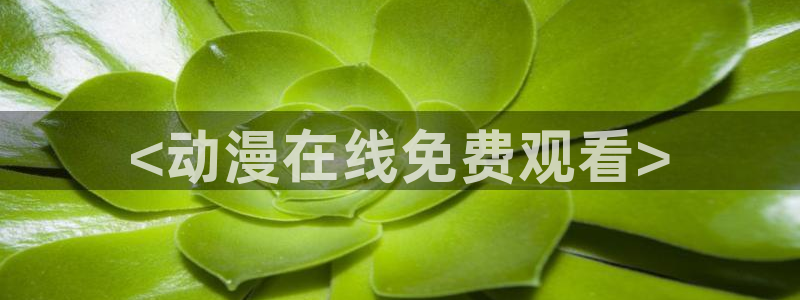 动漫之家吧：<动漫在线免费观看>