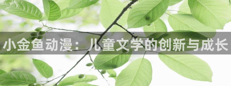 动漫之家里世界