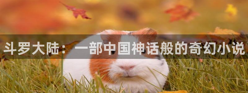 动漫之家在线下载