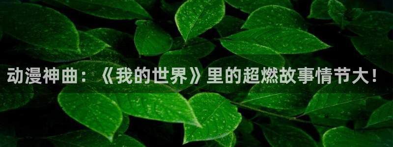 51动漫之家