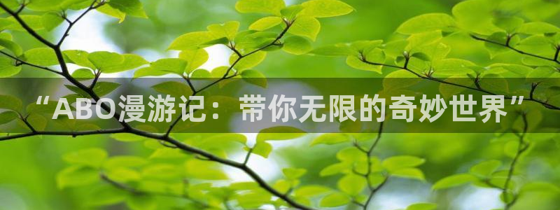动漫之家关闭