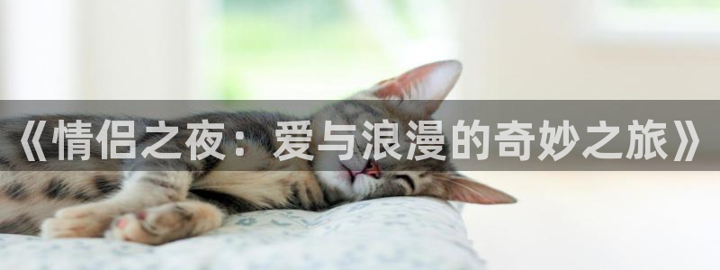 动漫之家不能看了