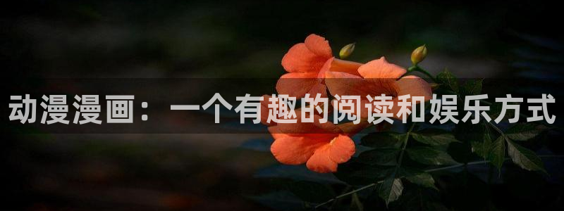 动漫之家app官网