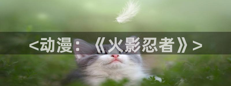 剑风传奇漫画动漫之家
