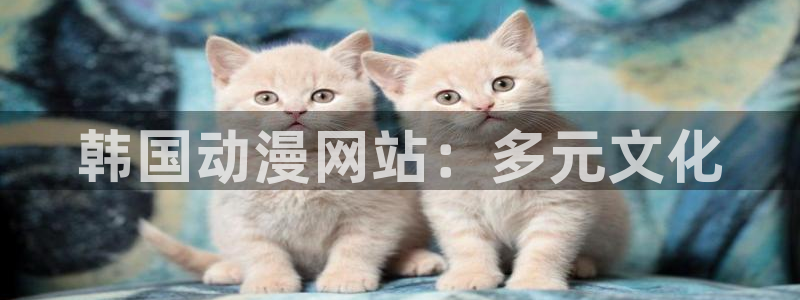动漫之家破解版