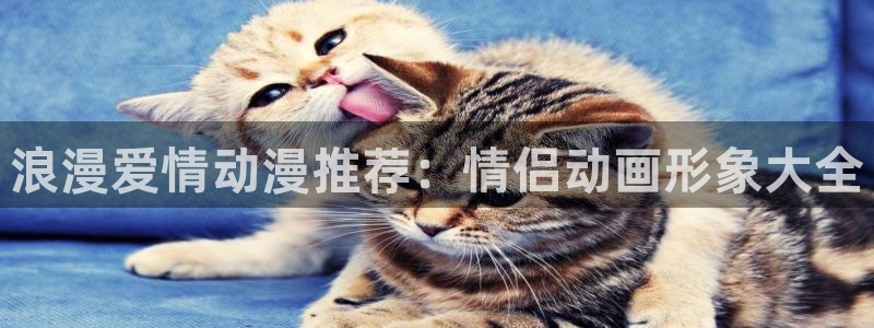 恬淡晴天动漫之家