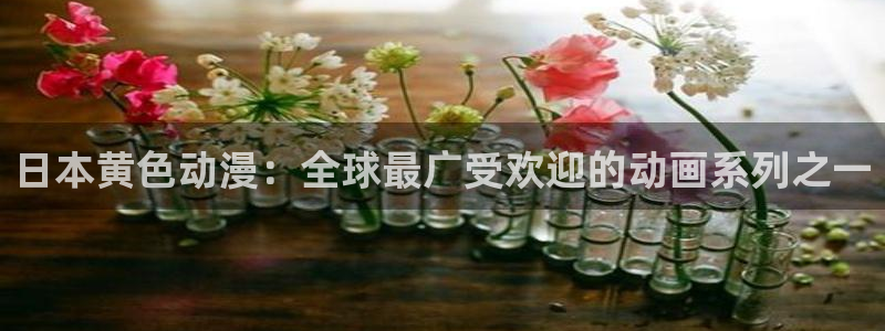 动漫之家官网网址