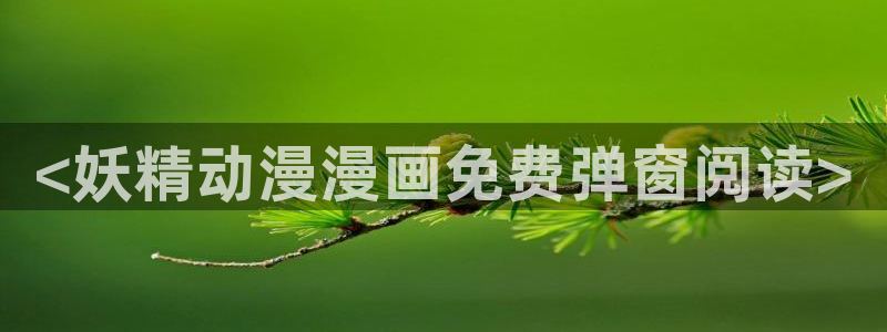 动漫之家旧版