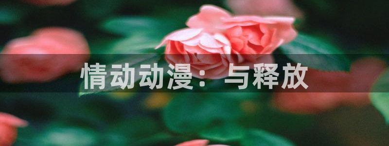 动漫之家下载官网