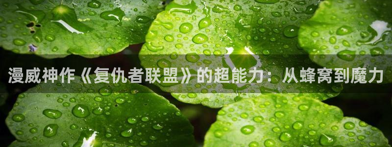 镖人动漫之家