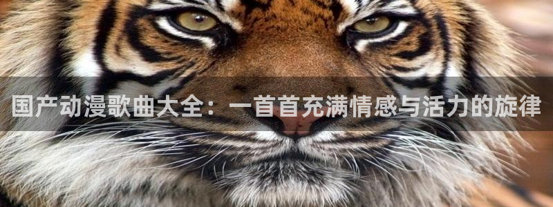 动漫之家网站下载