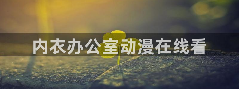 ace动漫之家