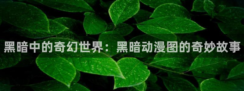 动漫之家旧版