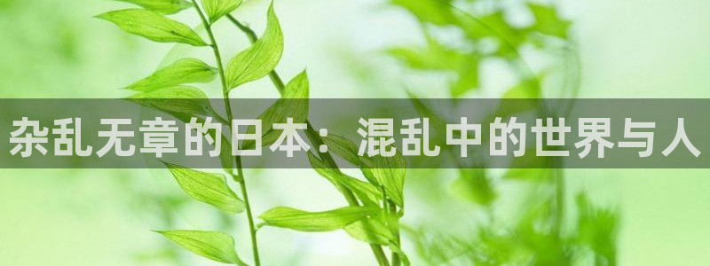 动漫之家免费网站入口