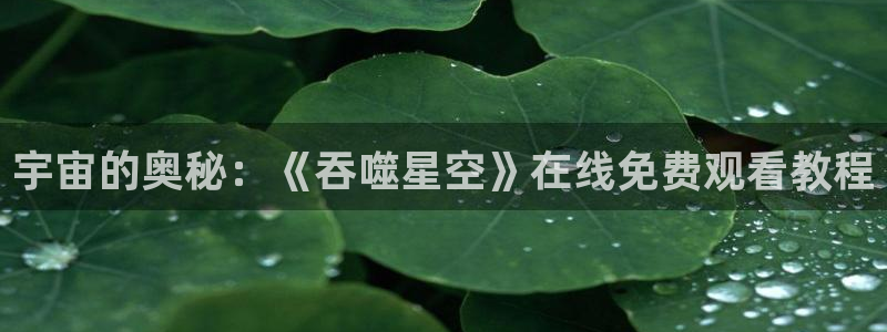 动漫之家下载的漫画在哪个文件
