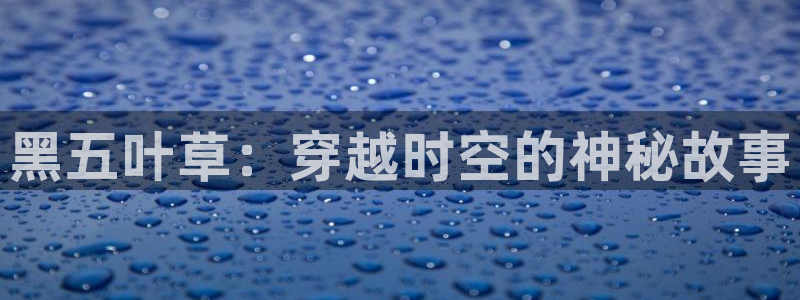家有女友动漫之家