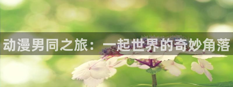 动漫之家里世界