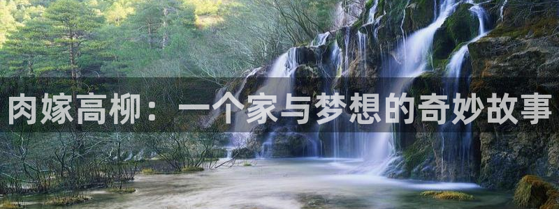 动漫之家如何看漫画