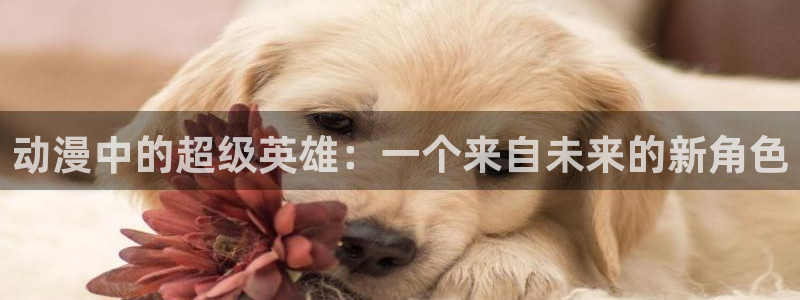 动漫之家+app下载