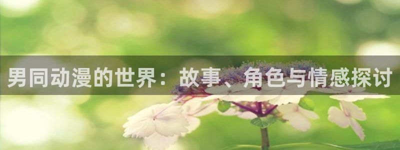 动漫之家社区：男同动漫的世界：故事、角色与情感探讨